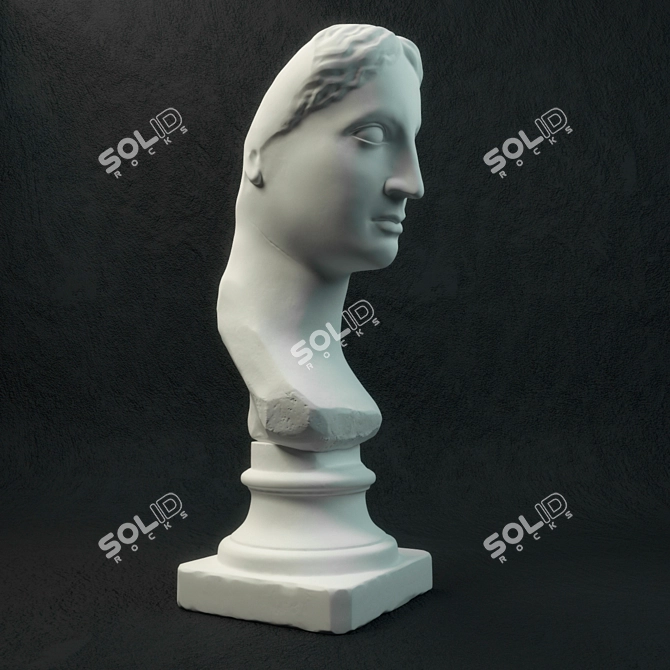 Goddess of Beauty: Venus Bust 3D model image 1