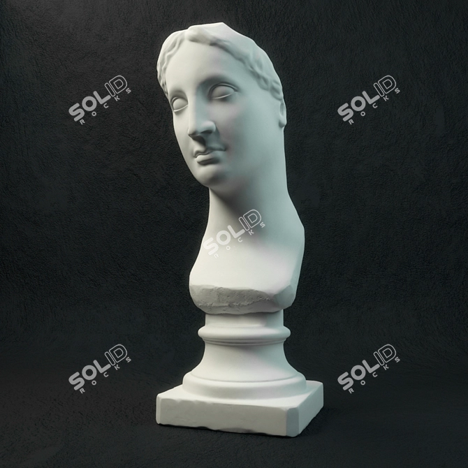 Goddess of Beauty: Venus Bust 3D model image 2