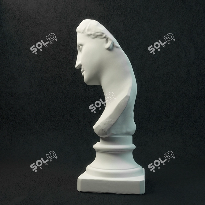 Goddess of Beauty: Venus Bust 3D model image 3