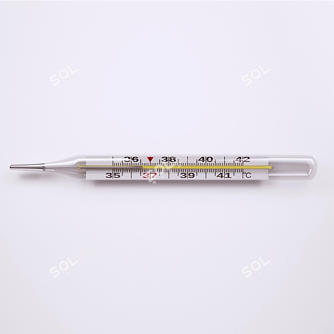 Simple Digital Thermometer 3D model image 1