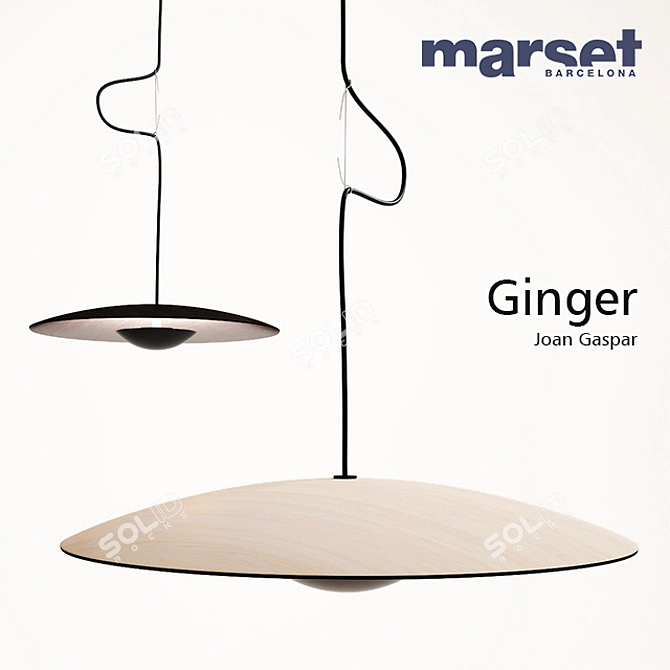 Ginger Lighting Collection: Chandeliers, Lamp, and Floor Lamp 3D model image 1