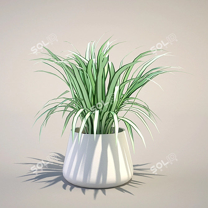 Green Life Spider Plant 3D model image 1