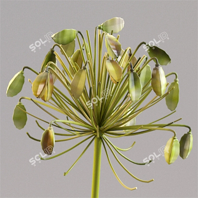 Blooming Seed Bud Vase 3D model image 2