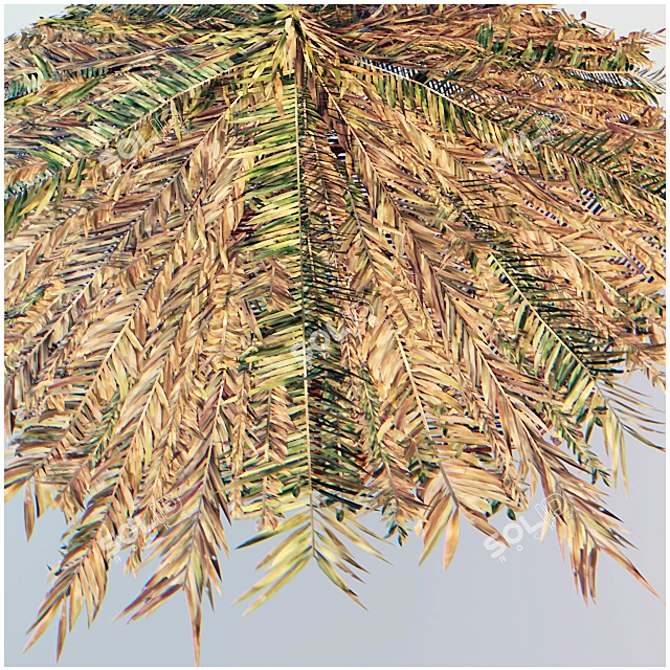 Cane Leaf Parasol: Natural Beach Umbrella 3D model image 3