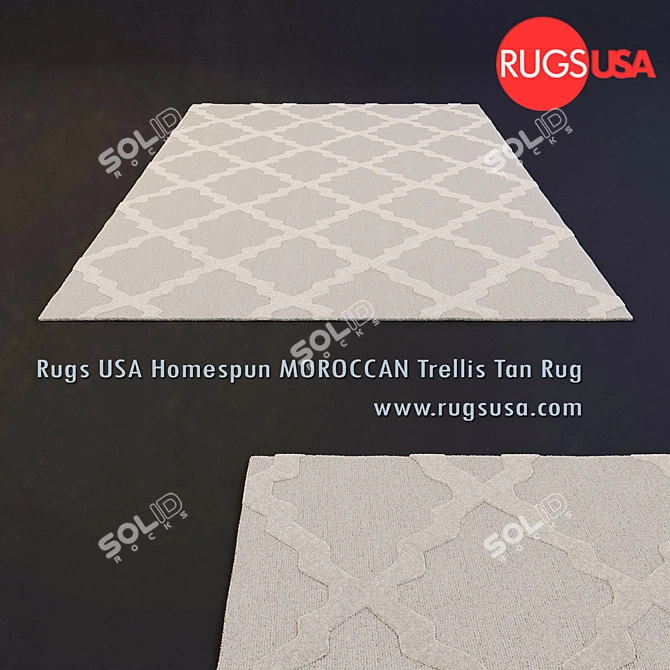 Homespun Moroccan Trellis: Wool Hand Hooked Rug 3D model image 2