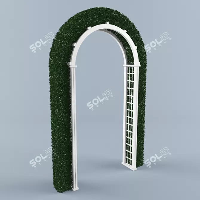 Elegant Outdoor Canopy Pergola 3D model image 1