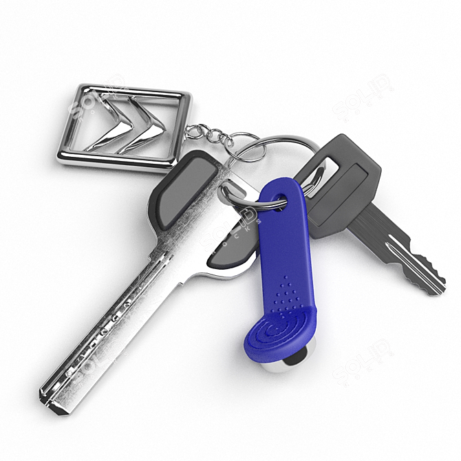 Citroen Key Bunch with Logo and Magnetic Key 3D model image 1