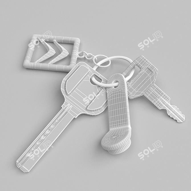 Citroen Key Bunch with Logo and Magnetic Key 3D model image 2