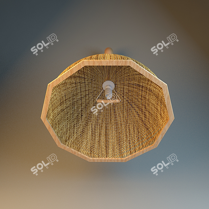 Woven Shade Chandelier 3D model image 2