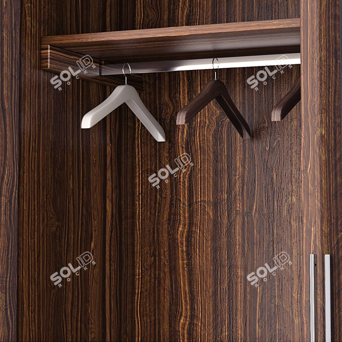 Sleek Modern Wardrobe: Elegant and Functional 3D model image 2