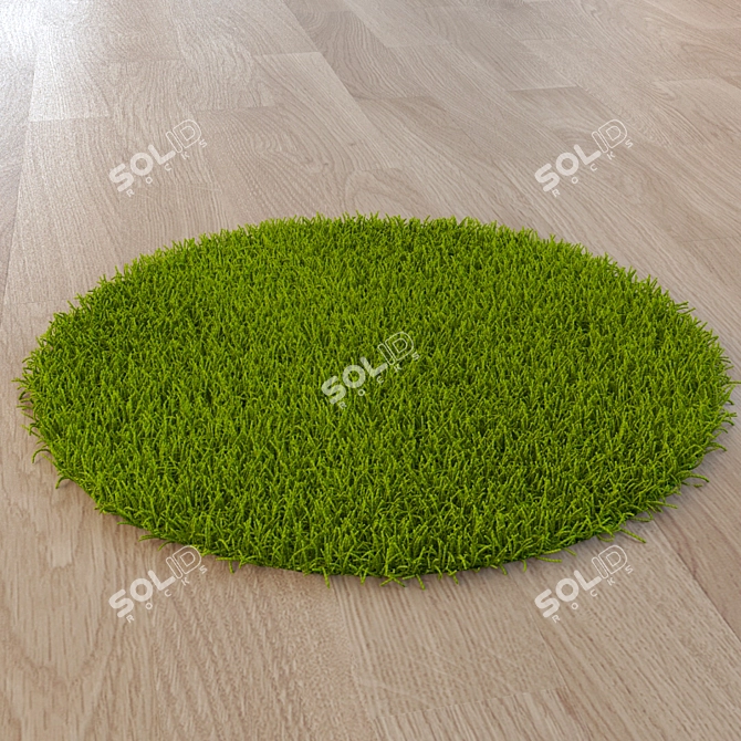 Round Plush Mat 3D model image 1