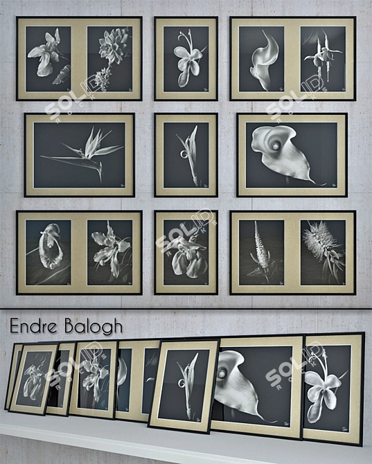 Endre Balogh - 18 Masterpieces 3D model image 1
