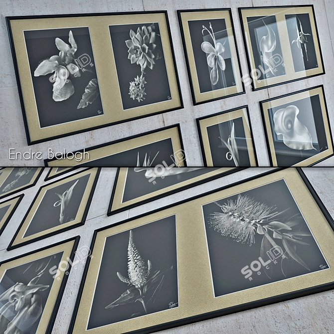 Endre Balogh - 18 Masterpieces 3D model image 2