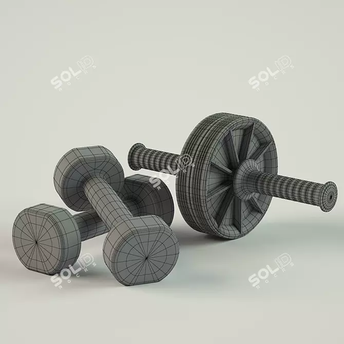 Home Fitness Equipment: Roller & Dumbbells 3D model image 2