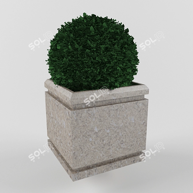 Lush Greenery Bush 3D model image 1
