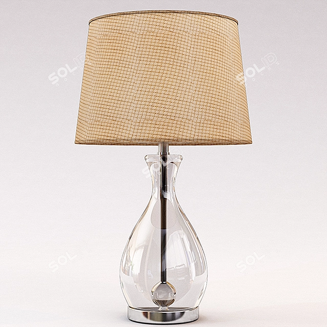 Elegant Glass and Chrome Lamp 3D model image 1