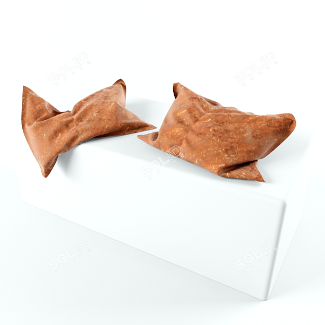 Vintage Leather Pillows 3D model image 2