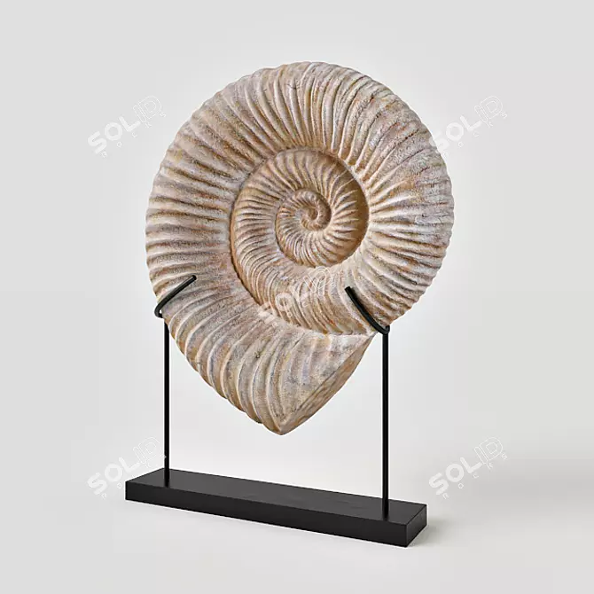 Seashell Dreams Sculpture 3D model image 1