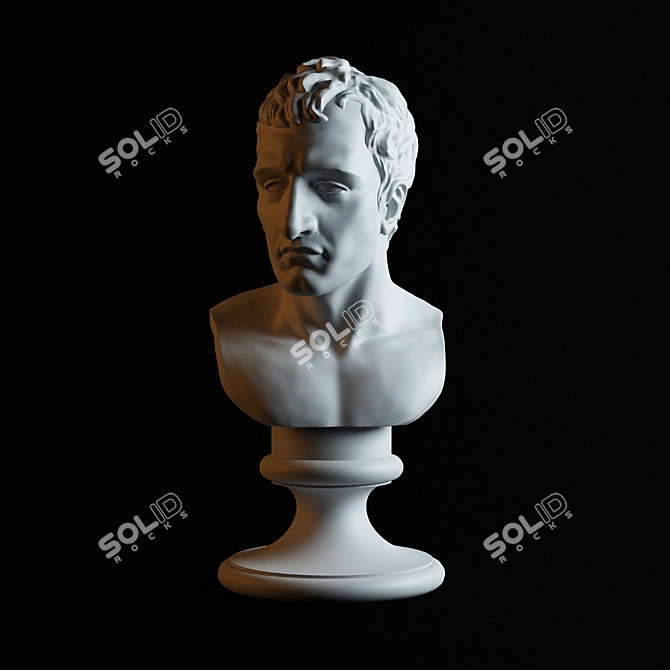 Napoleon Bust - Italian Masterpiece 3D model image 1