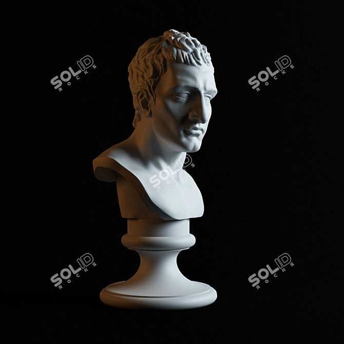 Napoleon Bust - Italian Masterpiece 3D model image 2