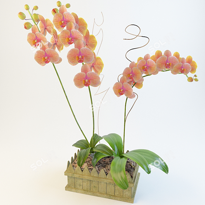 Elegant Orchid04: Exquisite Beauty 3D model image 1