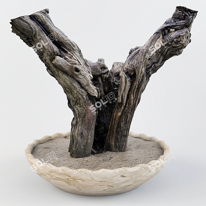 Vintage Oak Tree Sculpture 3D model image 2