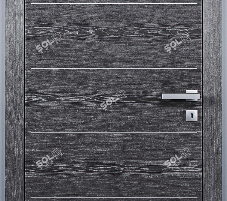 Barausse Doors: Stylish and Durable 3D model image 3