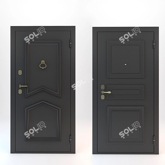 Decorative Overlay Entrance Doors 3D model image 1