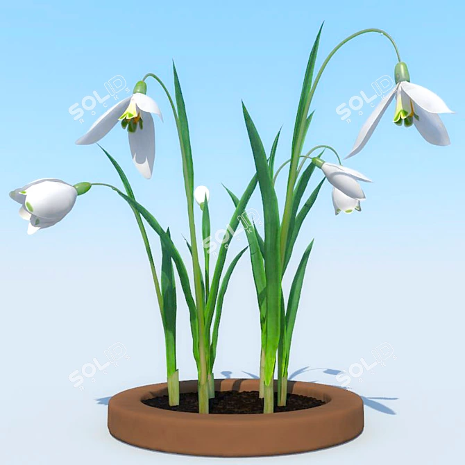 Title: Snowdrops Collection: 6 Unique Flower Types 3D model image 2