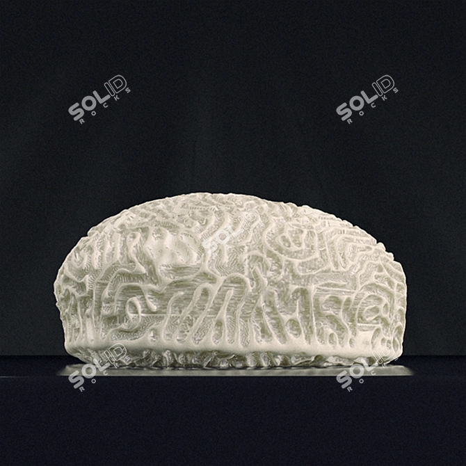 Faviidae Coral Decor 20x20x10cm 3D model image 3