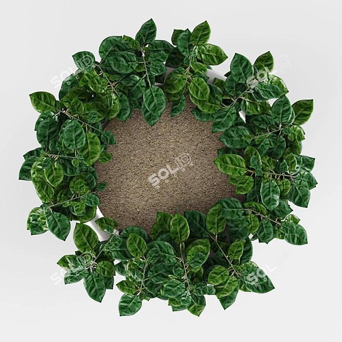 Stylish Loach Plant Basket 3D model image 2