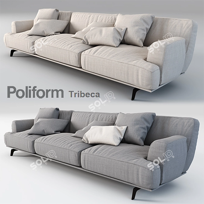 Poliform Tribeca Sofa: Elegant and Versatile 3D model image 1