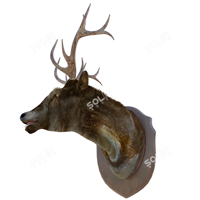 Stylish Deer Head Decoration 3D model image 2