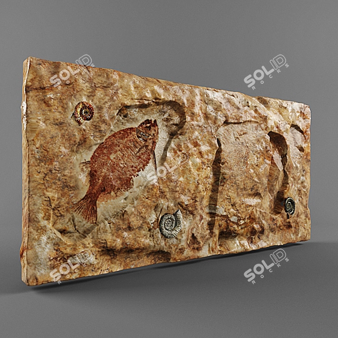 Vintage Fossils Collection
Timeless Fossil Treasures
Ancient Fossils for Collectors
Exquisite Fossil 3D model image 1