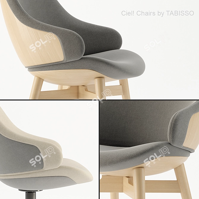 Elegant Ciel: Designer Perfection 3D model image 2