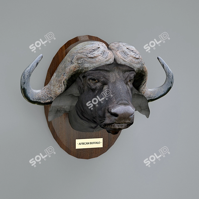 African Buffalo: Majestic Trophy Game 3D model image 1