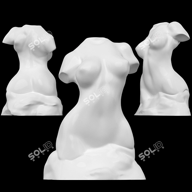 Elegant Female Sculpting Torso 3D model image 1