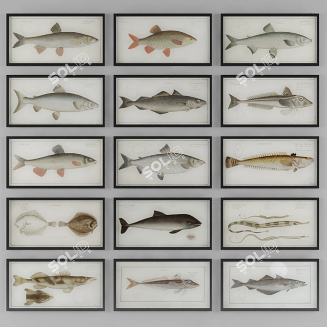 Vintage Fish Photography: 3D Max 2014 + Vray 3.0 3D model image 1