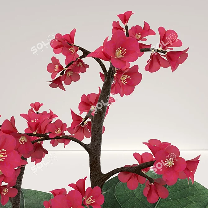 Heartleaf Bistort: Long-lasting Perennial Model 3D model image 2