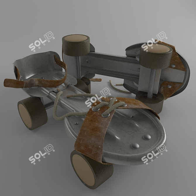 Proficient Used Roller Skates 3D model image 1