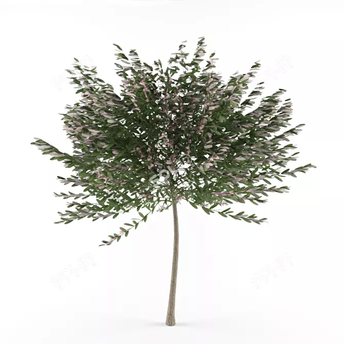 Compact Colorful Willow Bush 3D model image 1