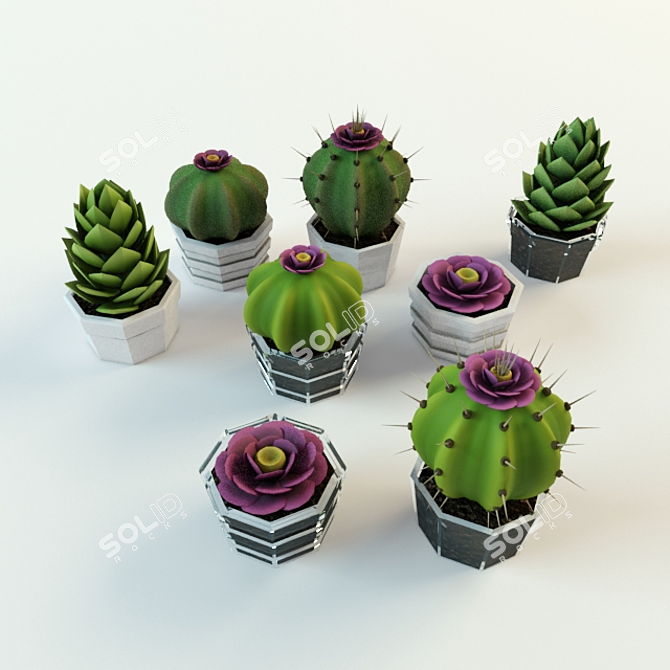 Desert Chic: Cacti & Succulents 3D model image 1