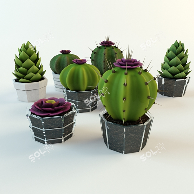 Desert Chic: Cacti & Succulents 3D model image 2