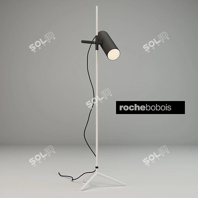 Roche Bobois Wander: Exquisite Floor Lamp 3D model image 1