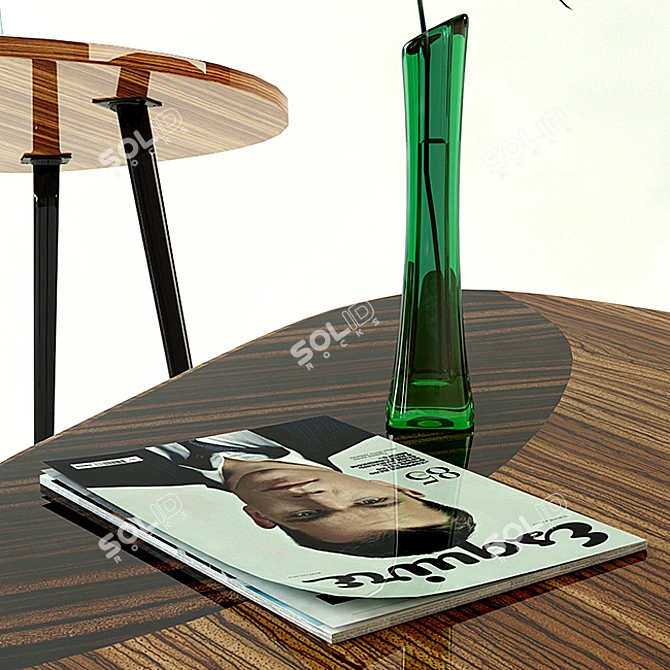 Lacquered Rosewood Coffee Table 3D model image 3