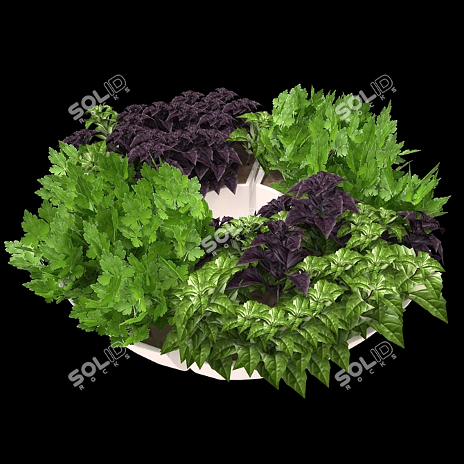 Herb Trio Deco 3D model image 1