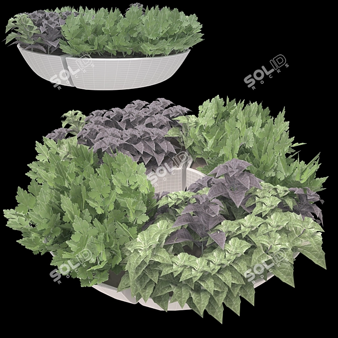 Herb Trio Deco 3D model image 2