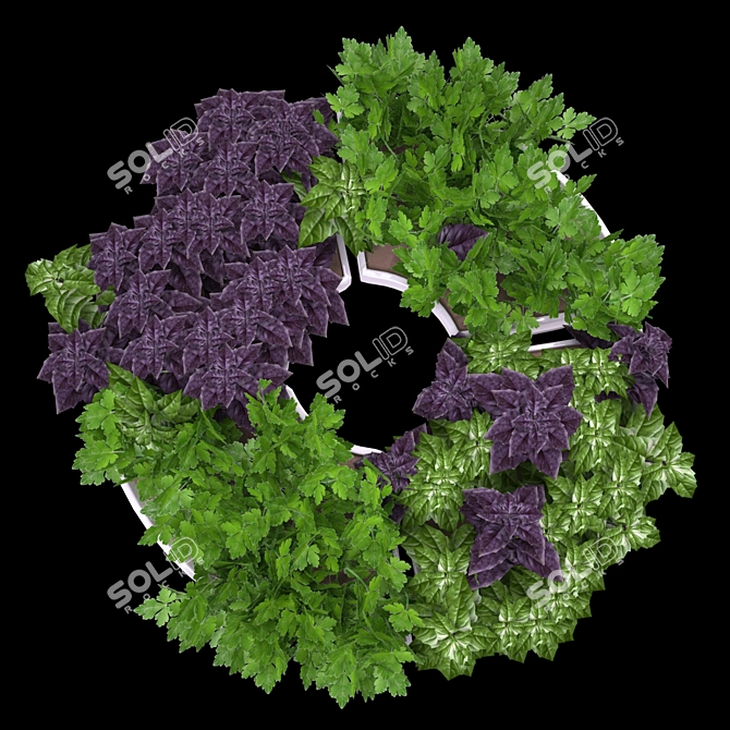 Herb Trio Deco 3D model image 3