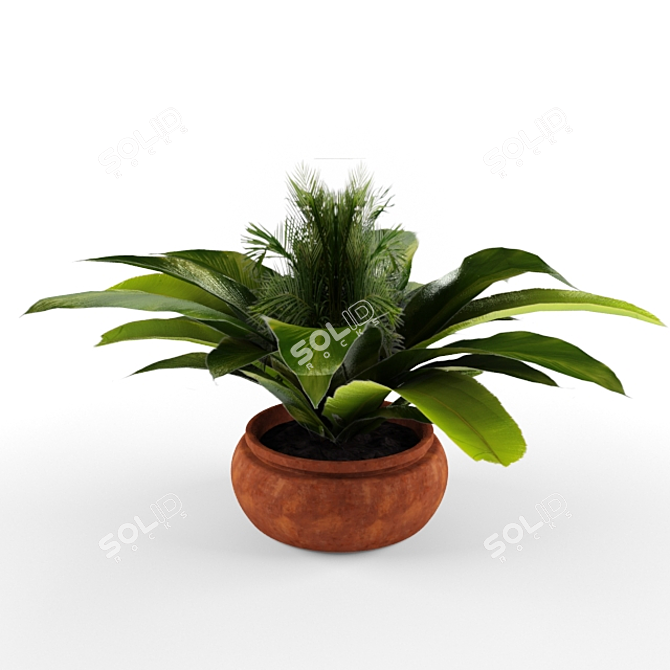 Tropical Beauty in a Pot 3D model image 1