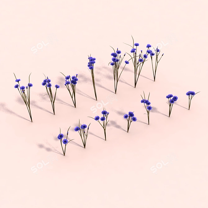 Cornflower Bouquet Set - Exquisite Outdoor Scene Decoration 3D model image 1